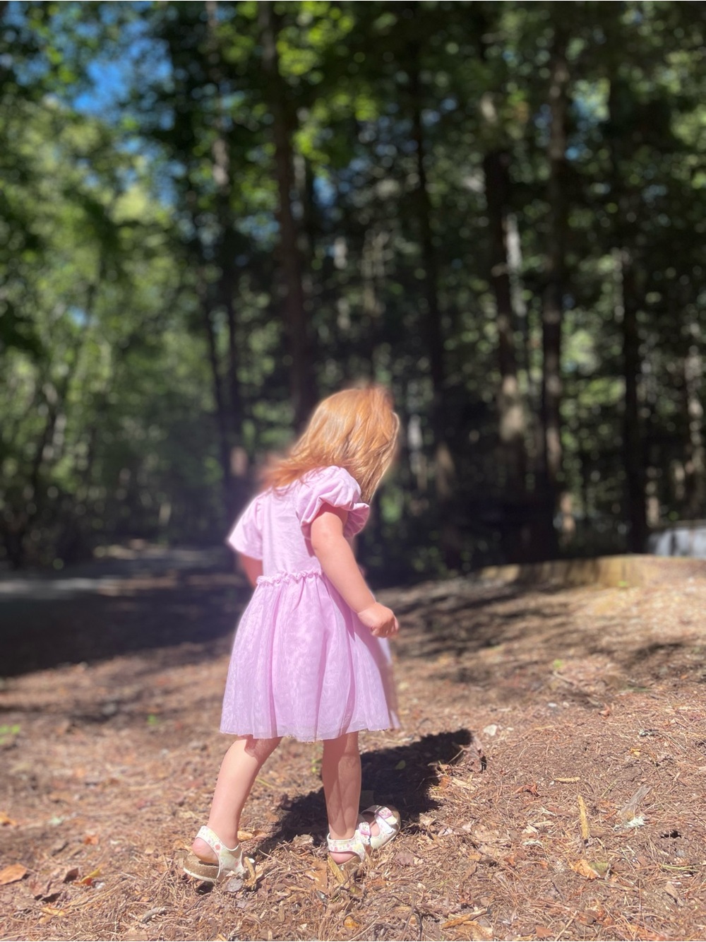 Cat & Jack Toddler Girls' Short Sleeve Tulle Dress - Lavender Mauve 18 Months